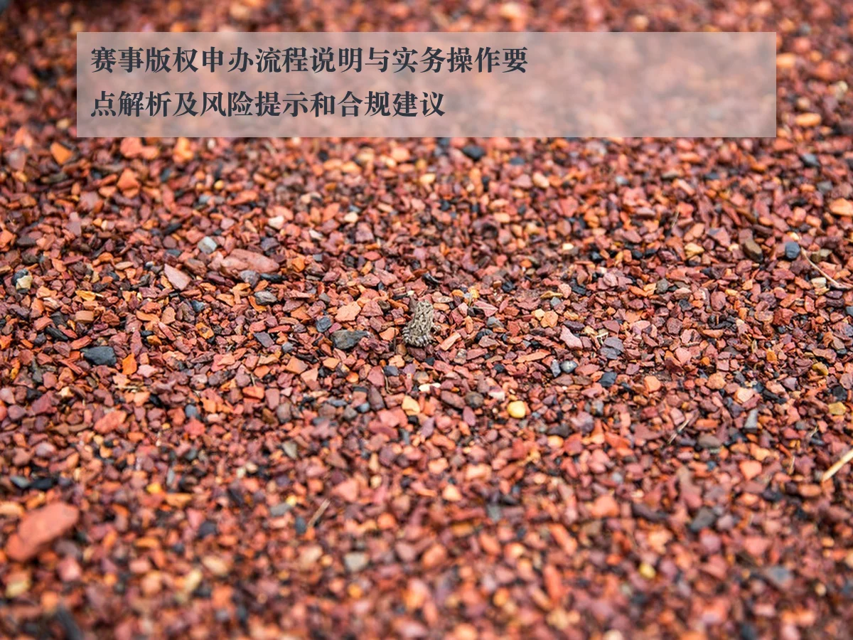 赛事版权申办流程说明与实务操作要点解析及风险提示和合规建议